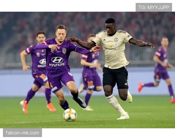 达姆斯高技术引领未来：智能解决方案推动足球行业变革